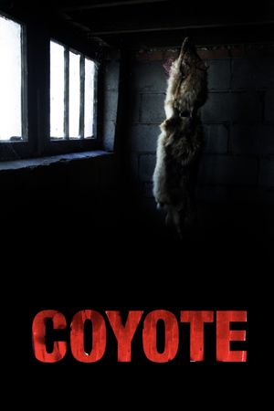 Coyote's poster
