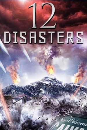 The 12 Disasters of Christmas's poster