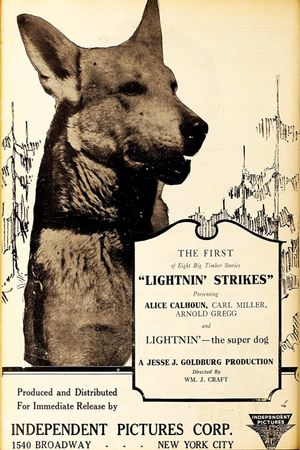 Lightnin' Strikes's poster