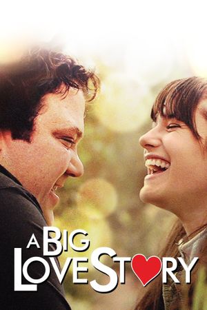 A Big Love Story's poster