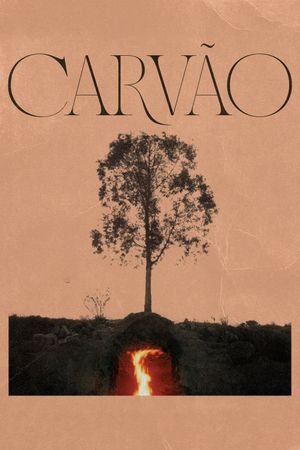 Charcoal's poster