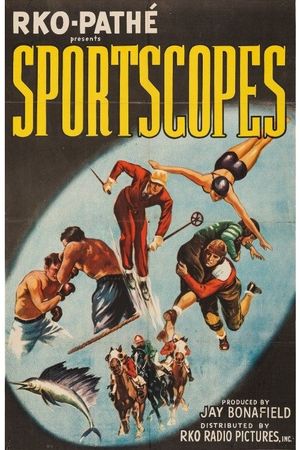 Gym College's poster