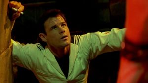 Querelle's poster