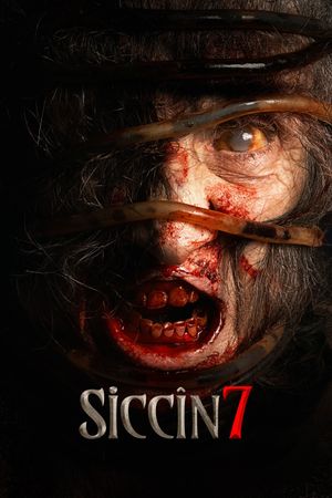 Siccin 7's poster