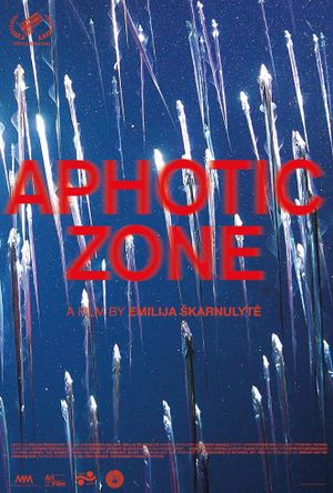 Aphotic Zone's poster