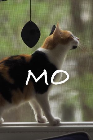 Mo's poster image