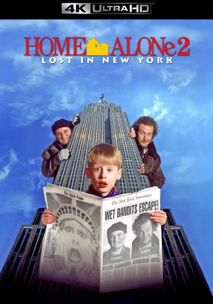 Home Alone 2: Lost in New York's poster