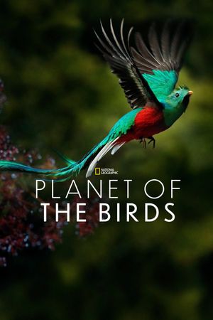 Planet of the Birds's poster