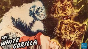 The White Gorilla's poster