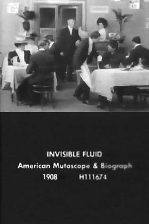 The Invisible Fluid's poster