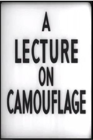 A Lecture on Camouflage's poster image