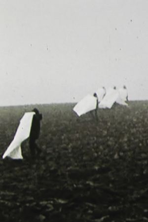 Landscape for White Squares's poster