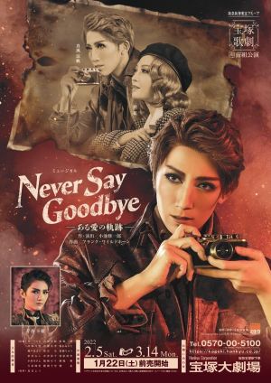 Never Say Goodbye's poster