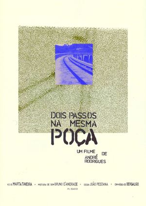 Dois passos na mesma poça's poster image