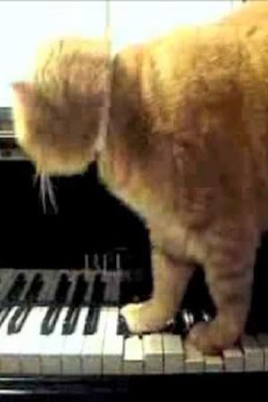 Arnold Schoenberg, op. 11 - I - Cute Kittens's poster