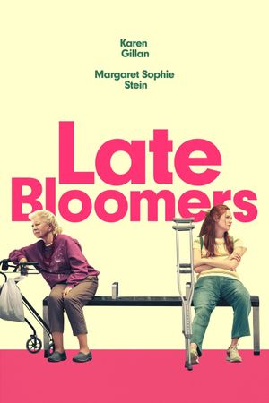 Late Bloomers's poster