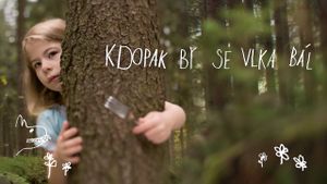 Kdopak by se vlka bál's poster