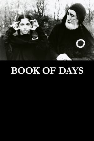 Book of Days's poster