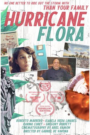 Hurricane Flora's poster image