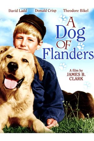 A Dog of Flanders's poster image