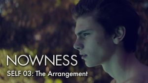 The Arrangement's poster