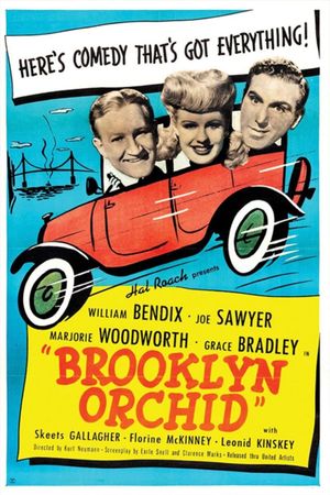Brooklyn Orchid's poster
