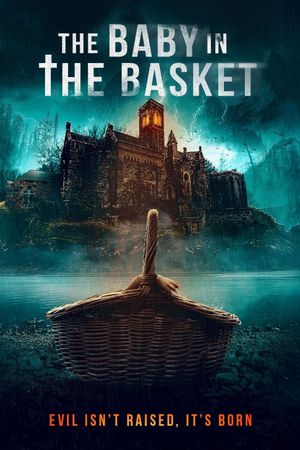 The Baby in the Basket's poster