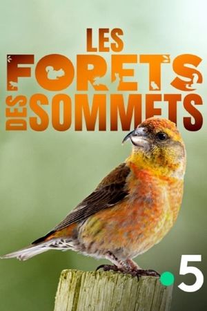 Les forêts des sommets's poster