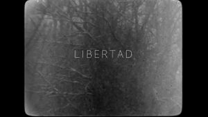 Libertad's poster