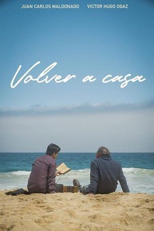 Volver a casa's poster