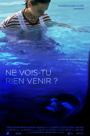 Ne vois-tu rien venir ?'s poster