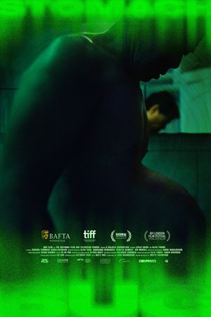 Stomach Bug's poster