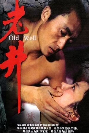 The Old Well's poster