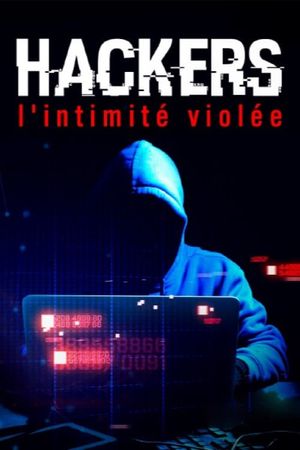 Hackers - Identity Theft's poster image