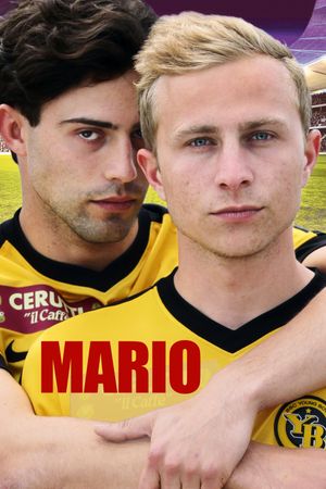 Mario's poster