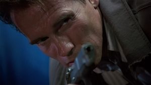 True Lies's poster