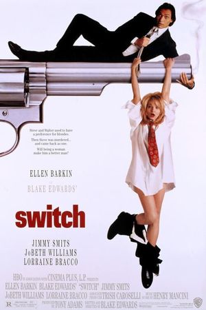 Switch's poster
