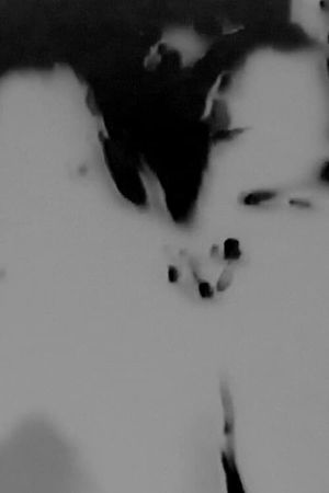 Witches Walk Monochrome's poster