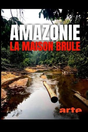 S.O.S. Amazonas: Apokalypse im Regenwald's poster