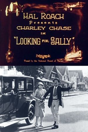 Looking for Sally's poster