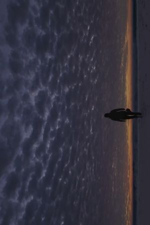 The Knowing's poster