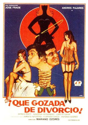 ¡Qué gozada de divorcio!'s poster