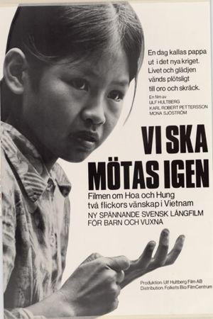 Vi ska mötas igen's poster