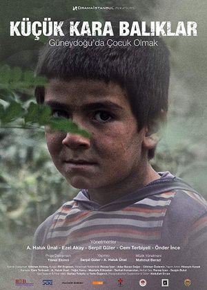Küçük Kara Baliklar's poster
