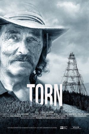 Torn's poster
