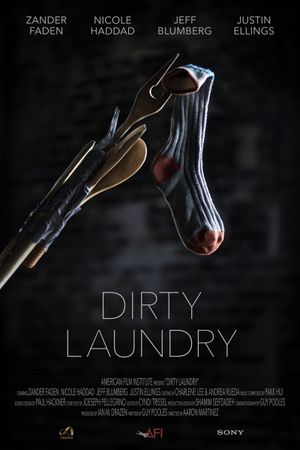 Dirty Laundry's poster image