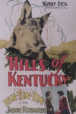 Hills of Kentucky's poster