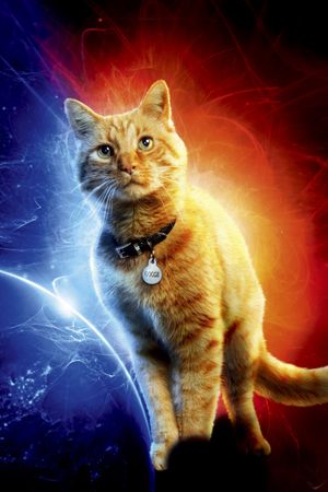 Captain Marvel's poster