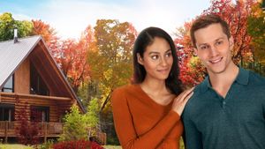 Love at Look Lodge's poster