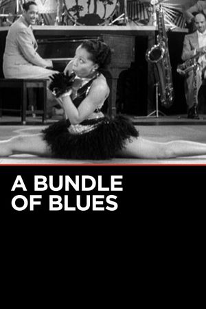 A Bundle of Blues's poster